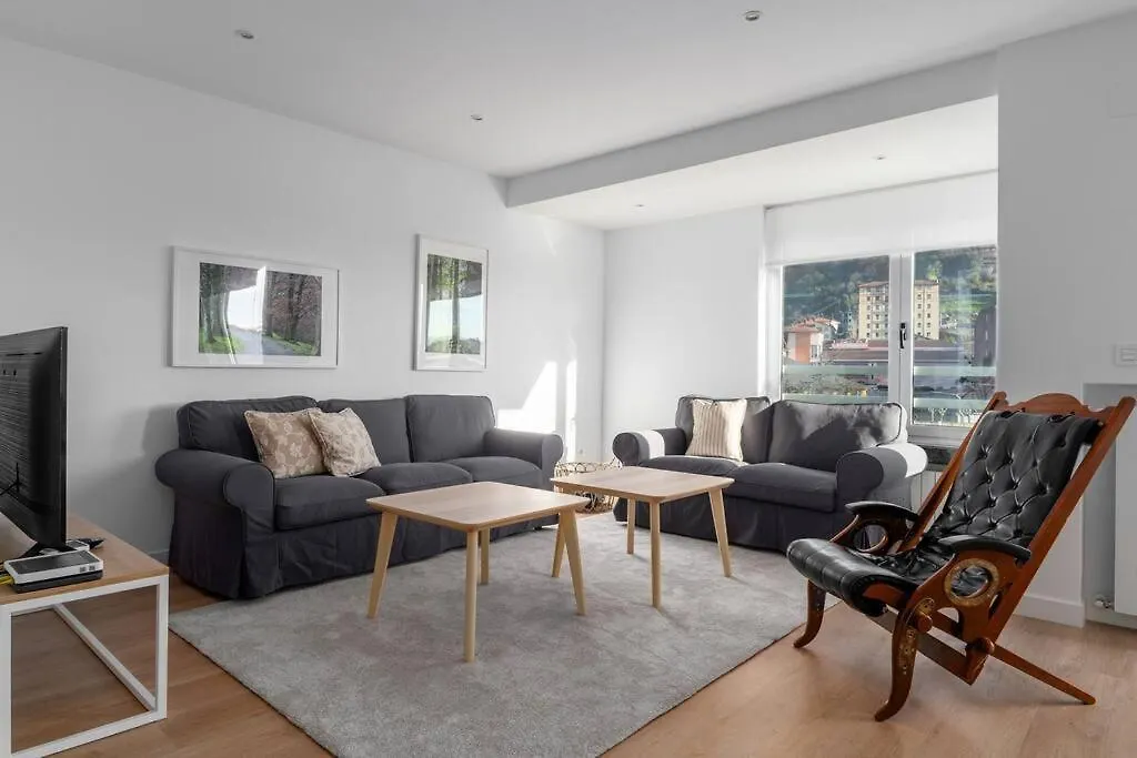 Bright Apartment With A/C, Parking Optional サン・セバスティアン スペイン